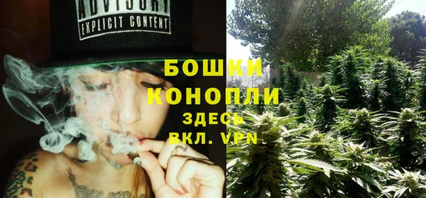 PSILOCYBIN Алексеевка
